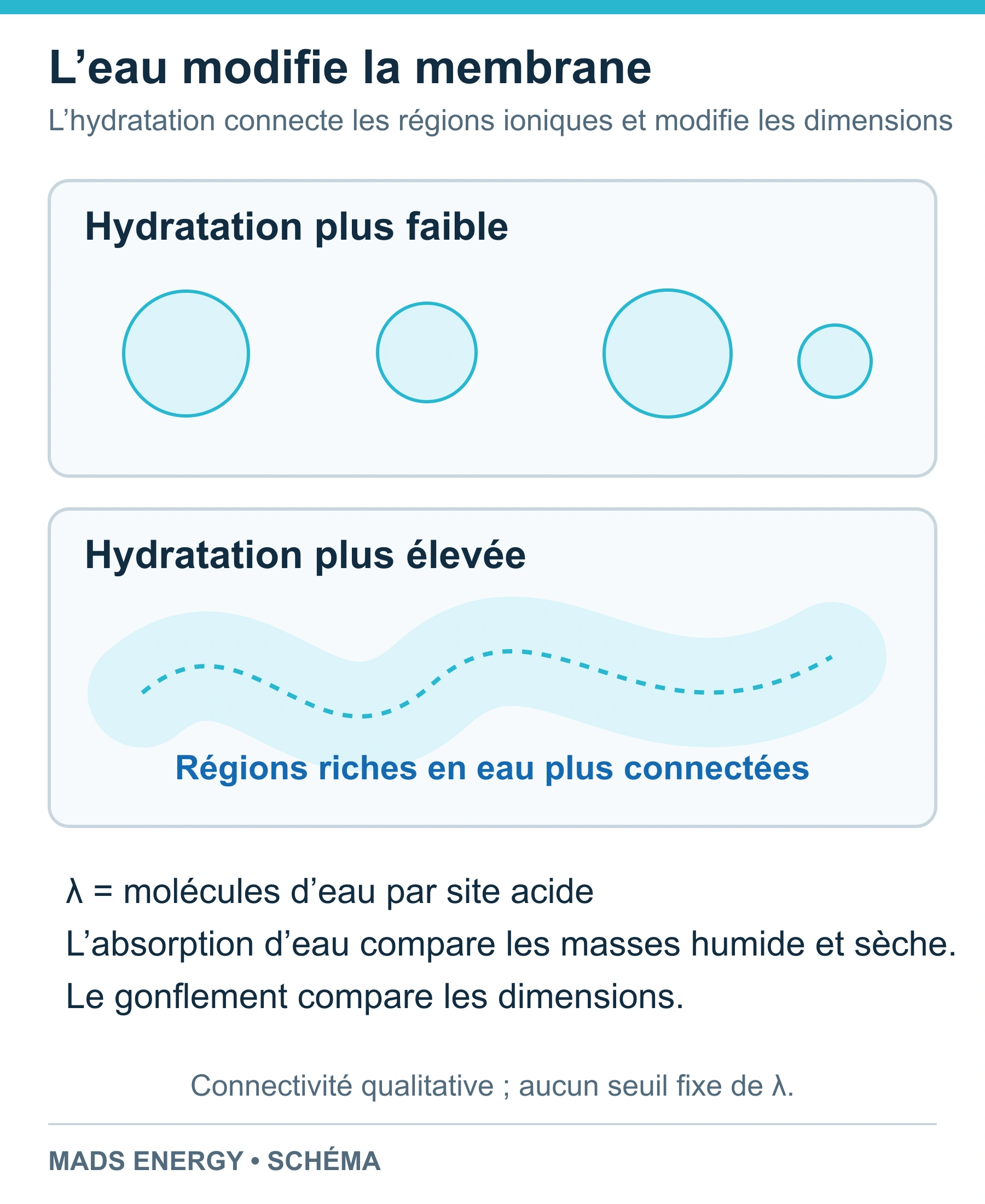 Comparaison qualitative de régions hydratées moins et plus connectées, distinguant le nombre d’hydratation, l’absorption d’eau et le gonflement dimensionnel.