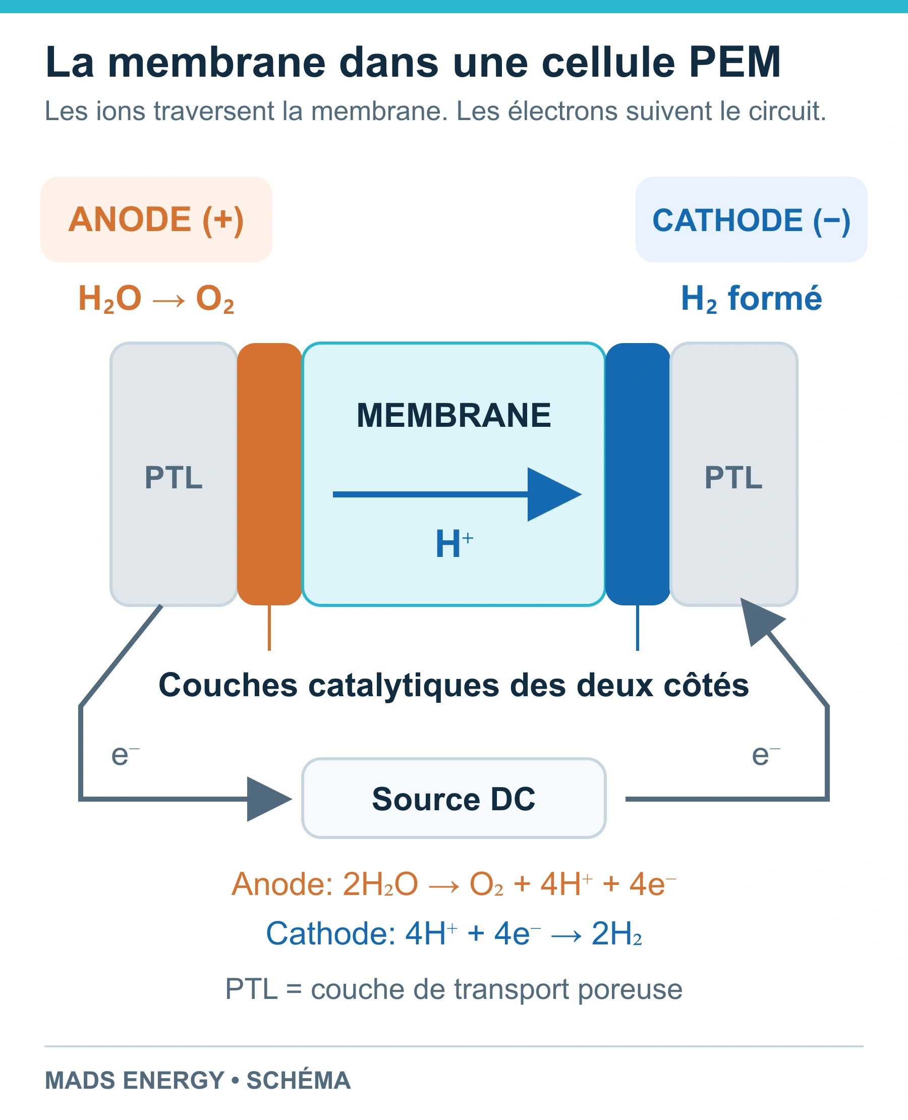 Schéma d’une cellule PEM montrant l’anode, la membrane, la cathode, les couches catalytiques et les PTL ; les protons se déplacent de l’anode vers la cathode et les électrons circulent par une source externe de courant continu.